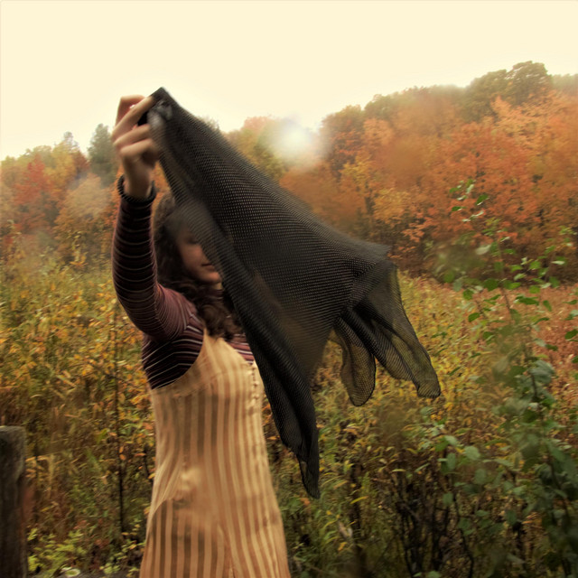 Orchards cover art