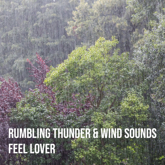 Rumbling Thunder & Wind Sounds cover art