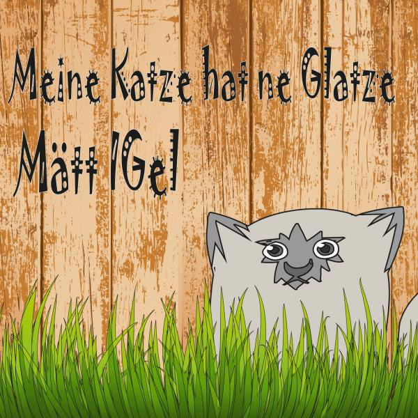 Meine Katze hat ne Glatze cover