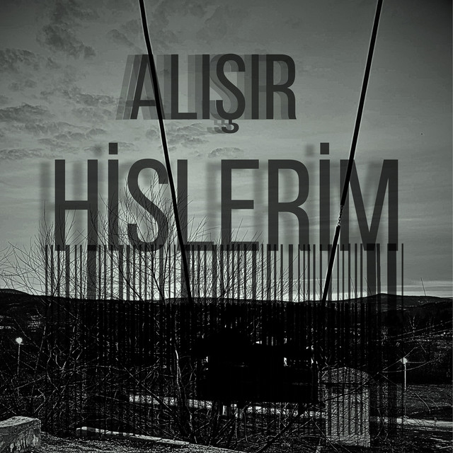 Alışır Hislerim