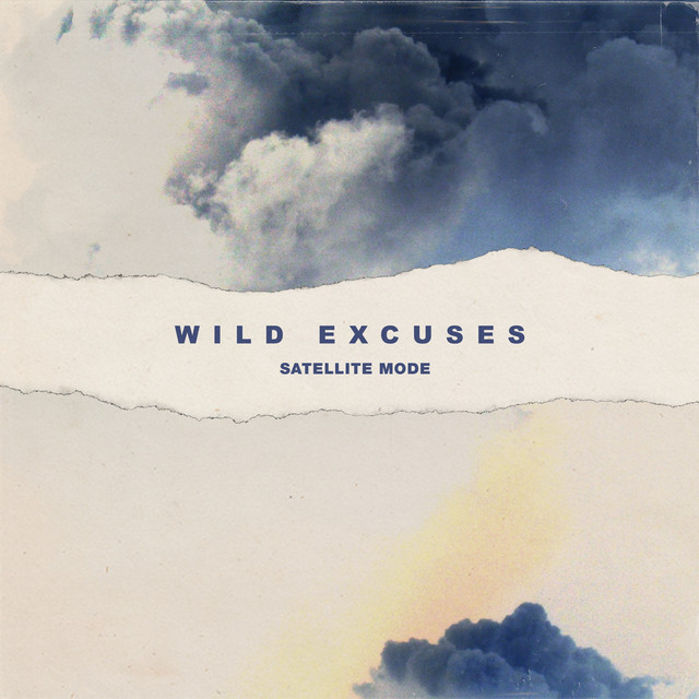 Wild Excuses (Deluxe) cover art