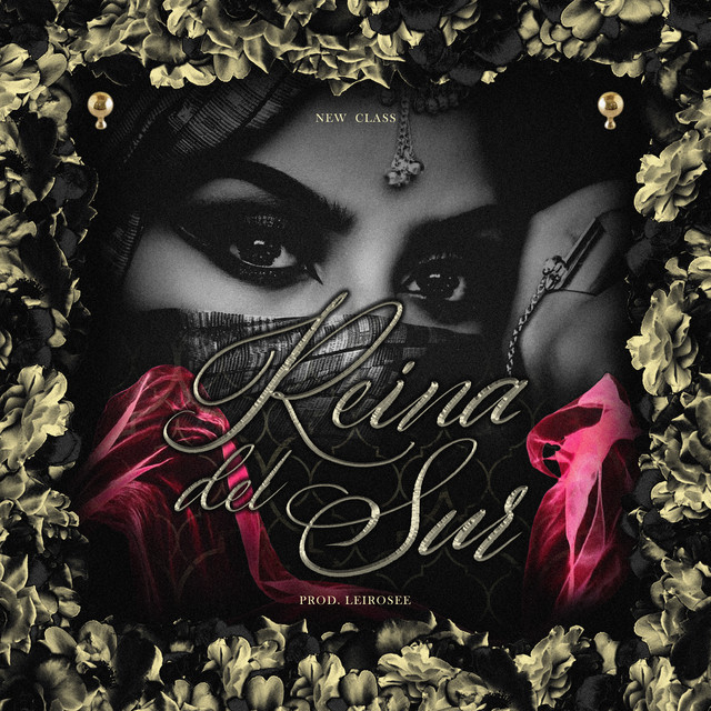 Reina del Sur cover art