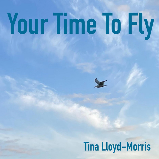 Your Time To Fly cover art
