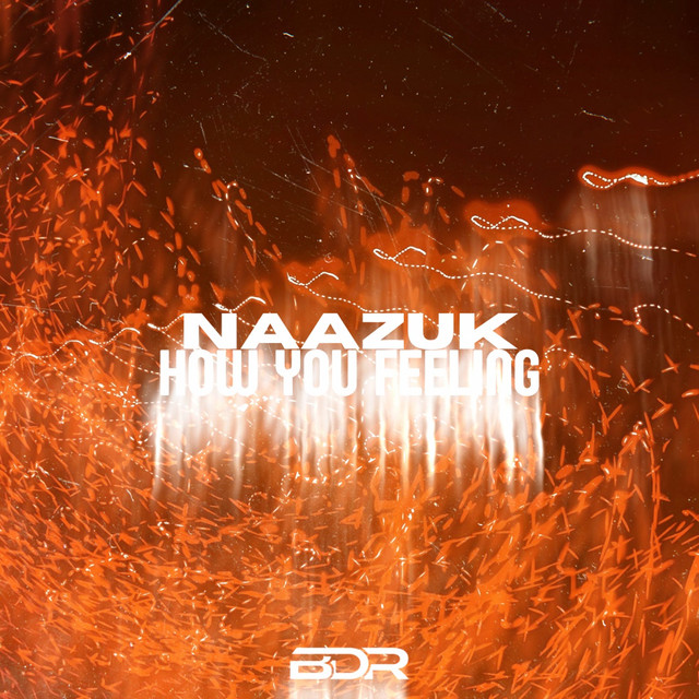 Обкладинка: How You Feeling — NAAZUK