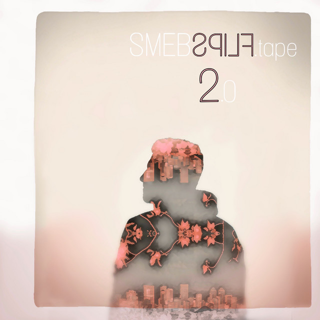 Smebflips 2 cover art