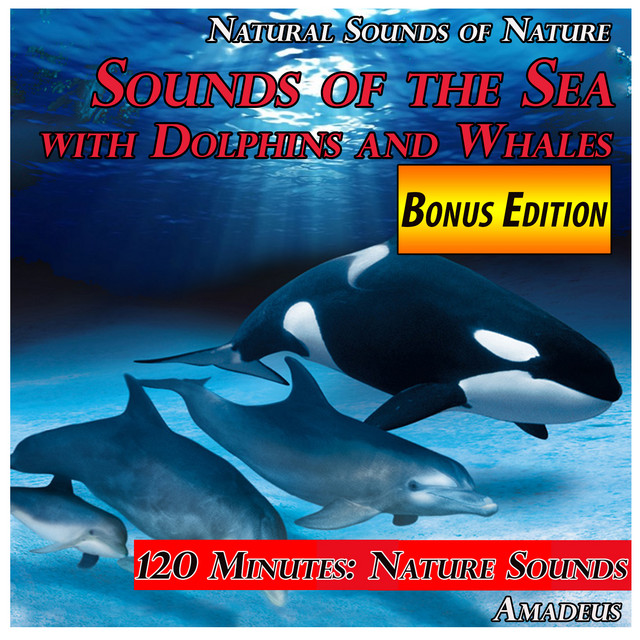 Sounds of the Sea with Dolphins and Whales: Natural Sounds of Nature: Bonus Edition cover art