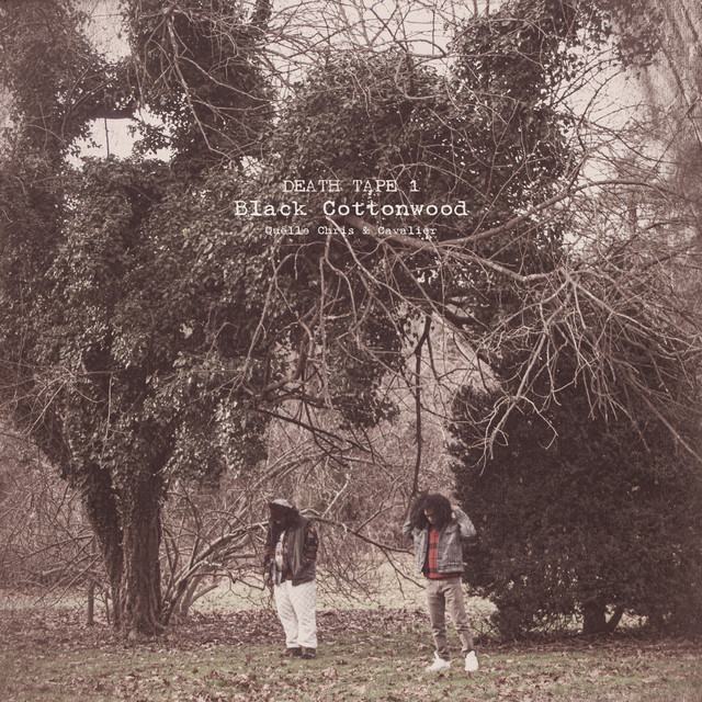 Black Cottonwood cover art