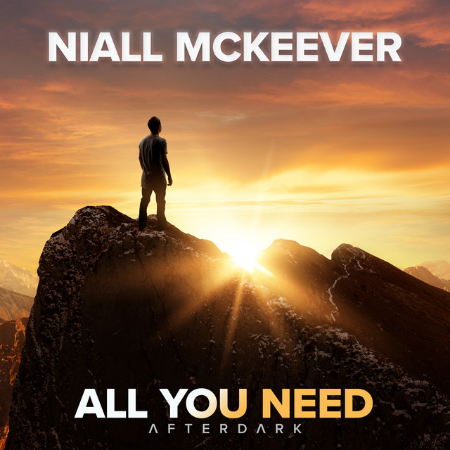 All You Need - Extended Mix album art