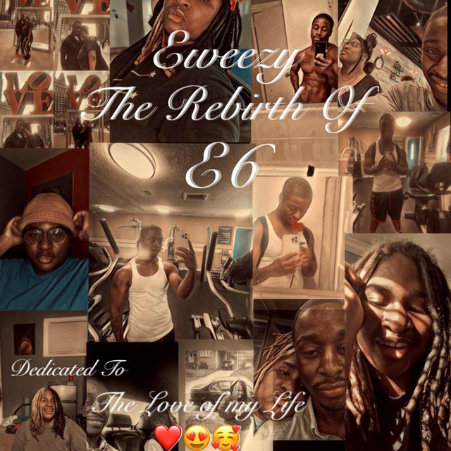 The Rebirth Of E6 cover art