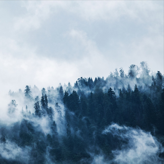 Peaceful Melodies to Help You Sleep cover art
