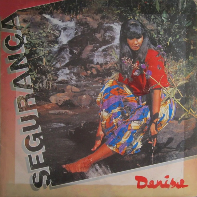 Segurança cover art