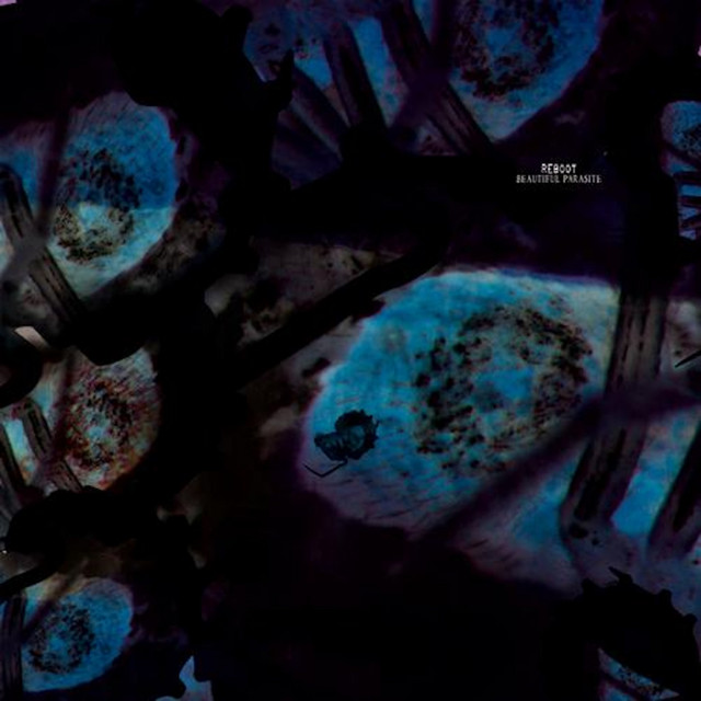 Beautiful Parasite - Robert Dietz Infected Mix cover art