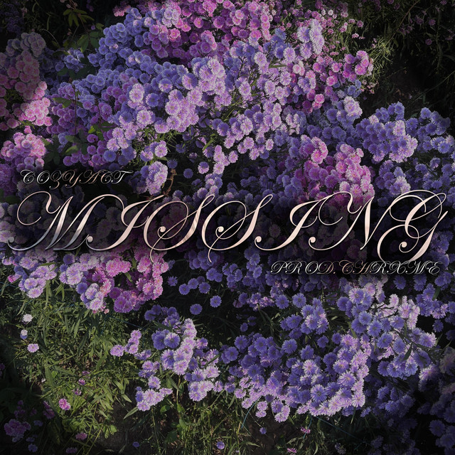missing cover art