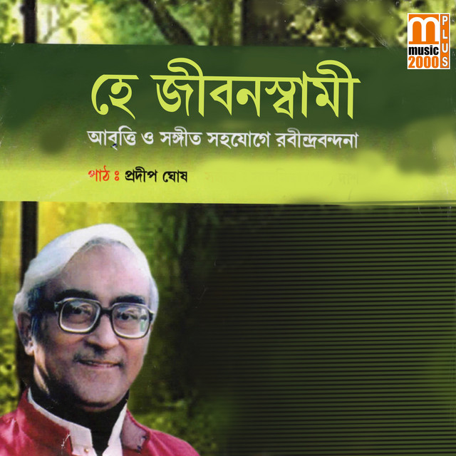Hey Jibonswami cover art
