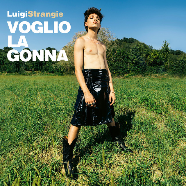 Voglio la gonna cover art