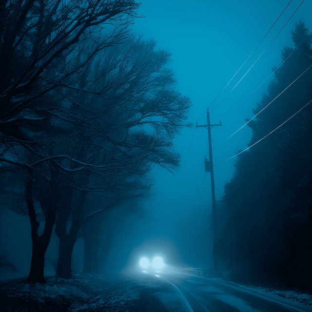 night swell