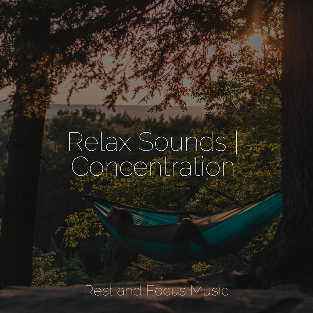 Relax Sounds | Concentration - Album by Musica Para Dormir y Sonidos de ...