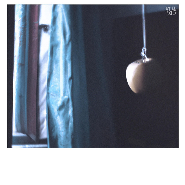 Cálida cover art