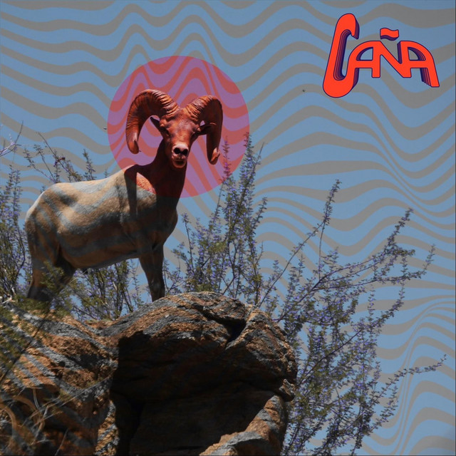 Caña