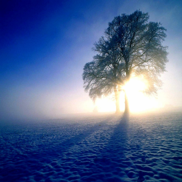 Winter Love cover art