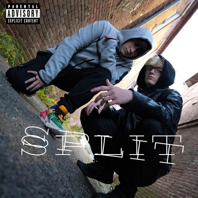 SPLIT cover art