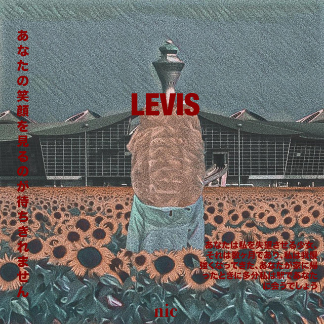 Levis cover art