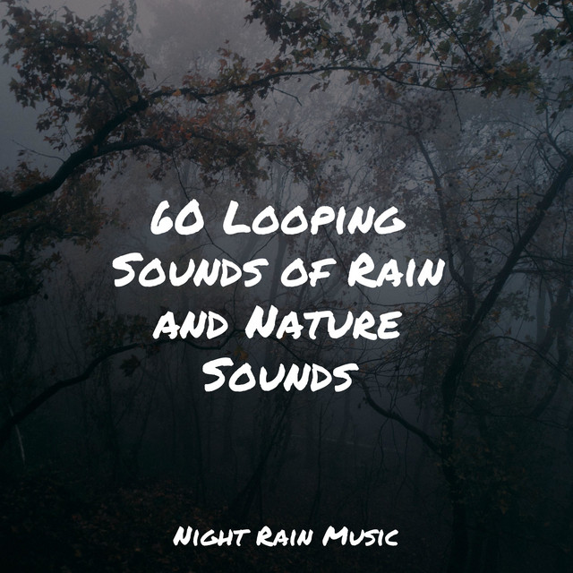 60 Looping Sounds of Rain and Nature Sounds - Album by Musica Reiki ...