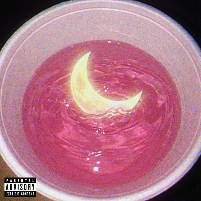 lunaTik cover art