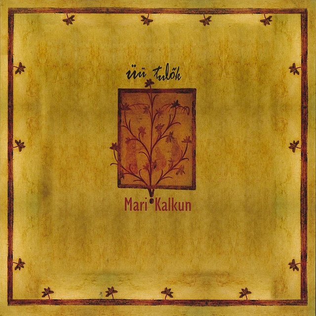 Üü tulõk cover art