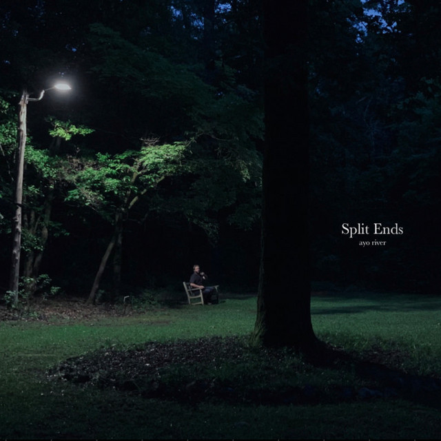 Split Ends cover art
