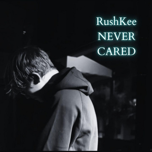NEVER CARED cover art