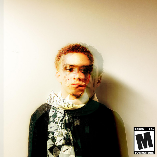 I'll Talk To You Later cover art