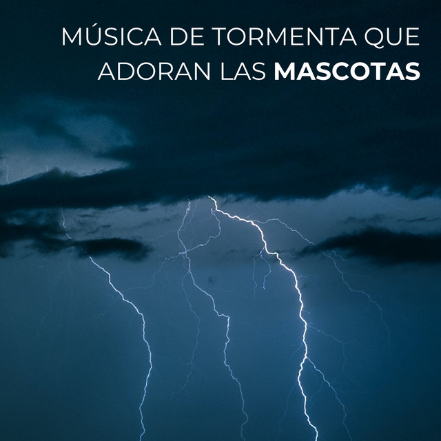 Música De Tormenta Que Adoran Las Mascotas cover art