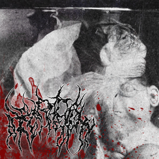 Heteradelphy cover art