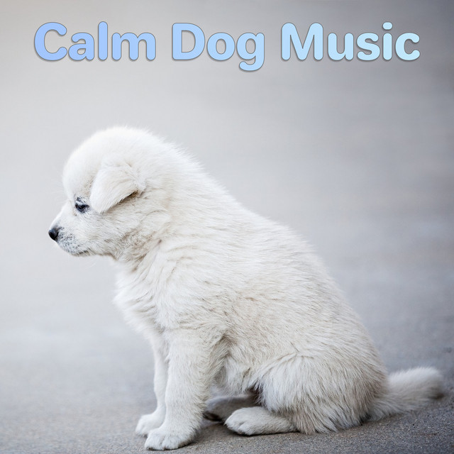 Calm Dog Music cover art
