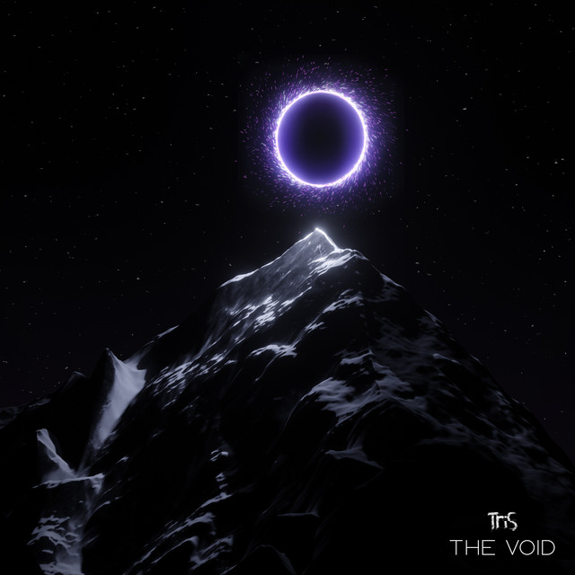 The Void cover art