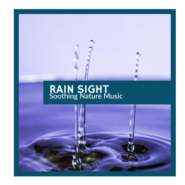 Digital Owl - song and lyrics by Exploding Rain Sounds | Spotify