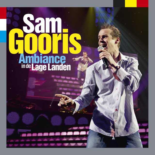 Ambiance In De Lage Landen cover art