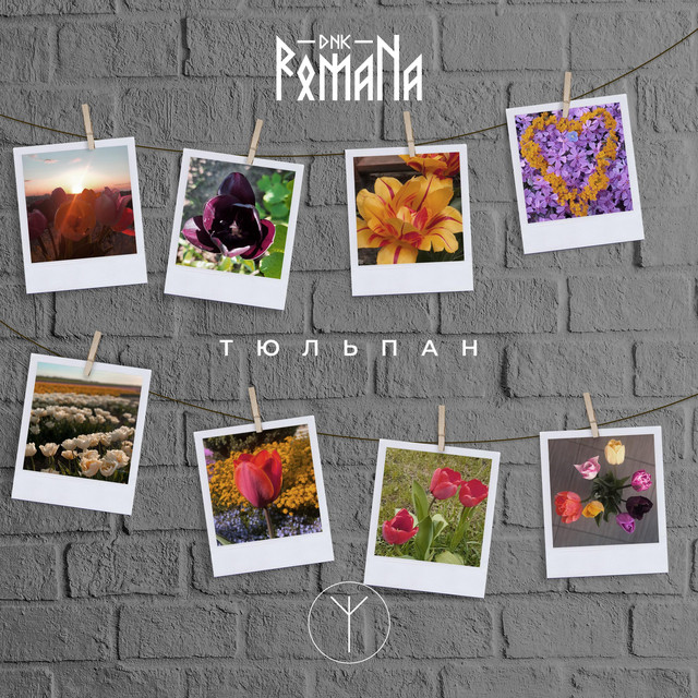 Обкладинка: Тюльпан — DNK RomaNa