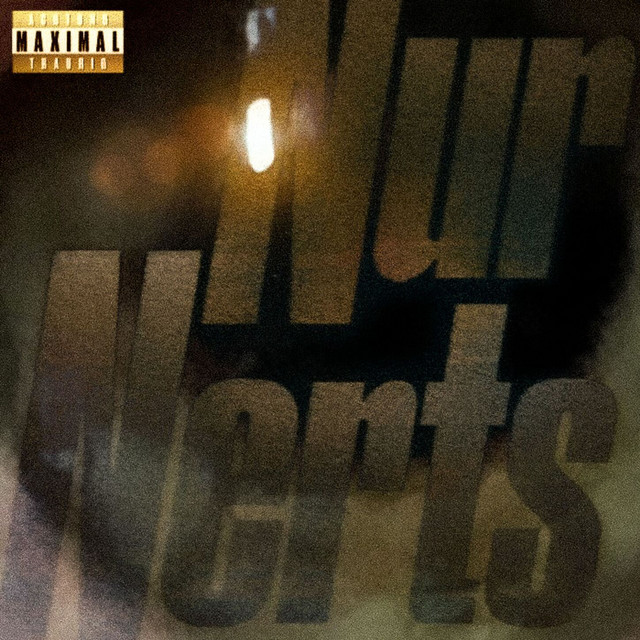 Nur Nerts cover art