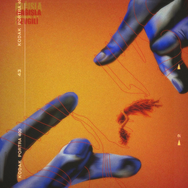 Bağışla Sevgili cover art