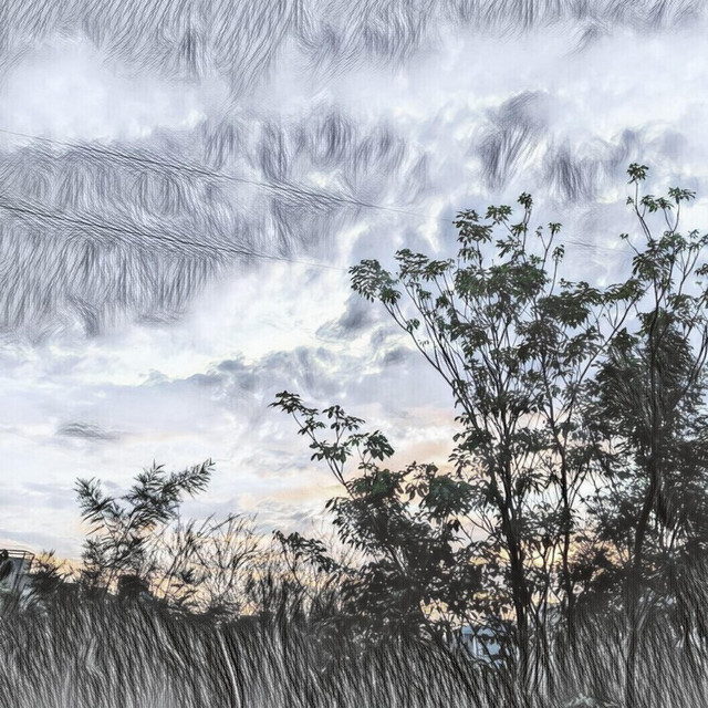 Whisper Of Trees (single)