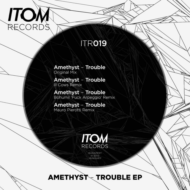 Trouble - Bohumil "Fuck Arpeggio" Remix cover art