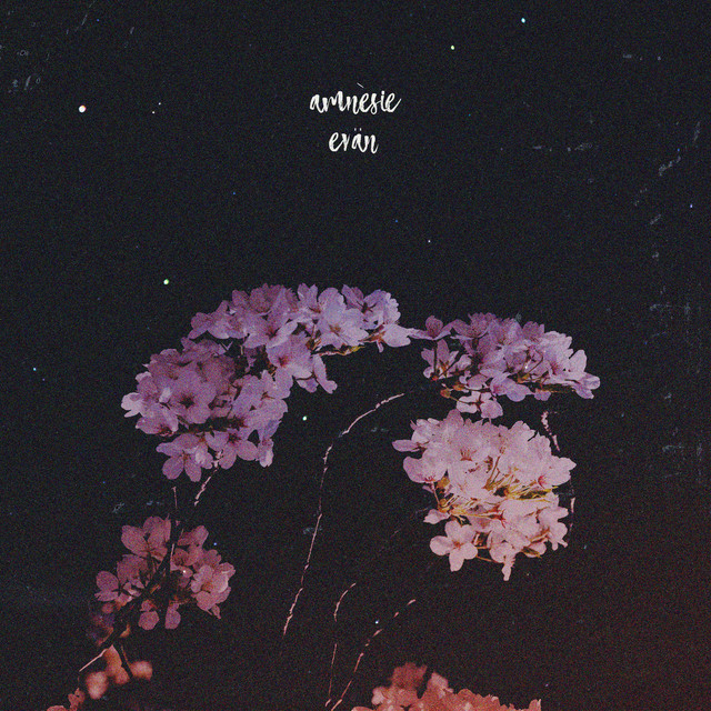 amnèsie cover art