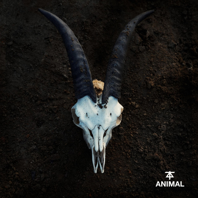 Cover art: Animal — Thunderdogs