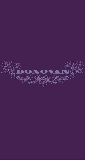 洋楽 TRY FOR THE SUN : THE JOURNEY OF DONOVAN Try For The Sun: The Journey Of Donovan - Compilation by Donovan