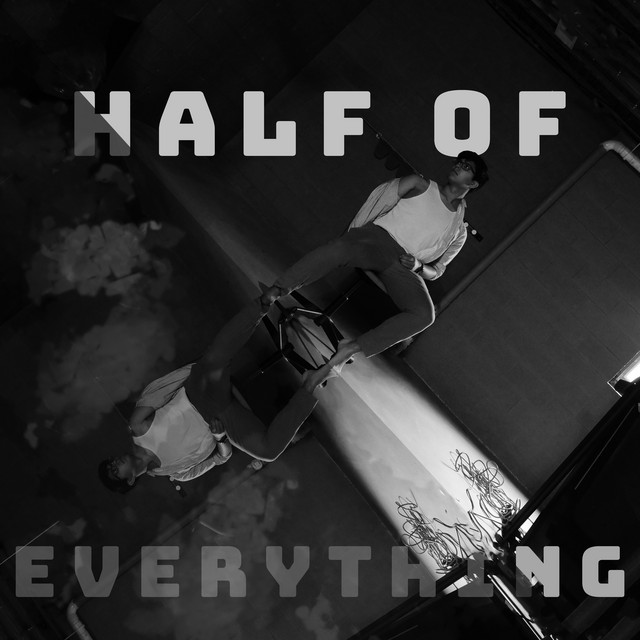 HALF OF EVERYTHING cover art