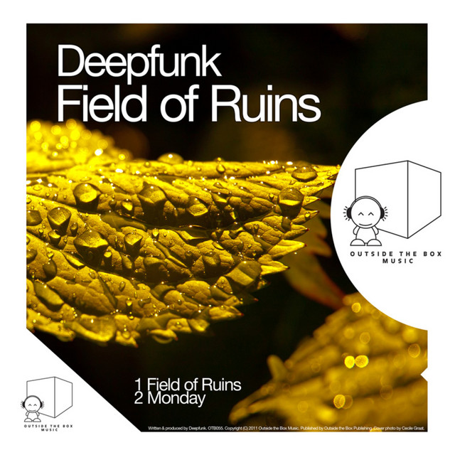 Field of Ruins cover
