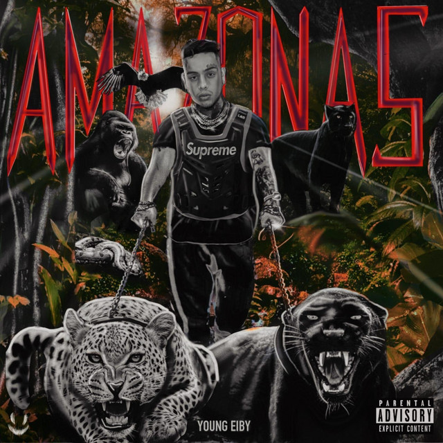 Amazonas cover art