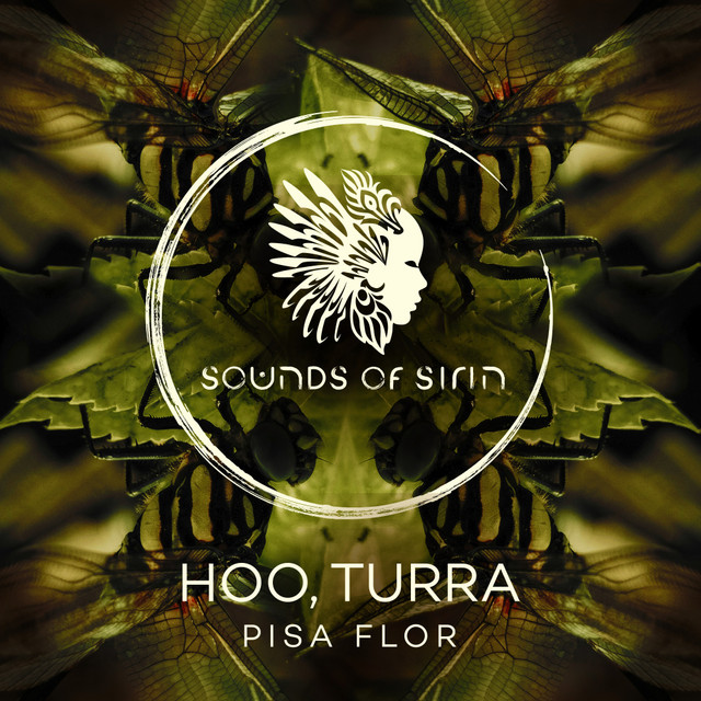 Pisa Flor cover art